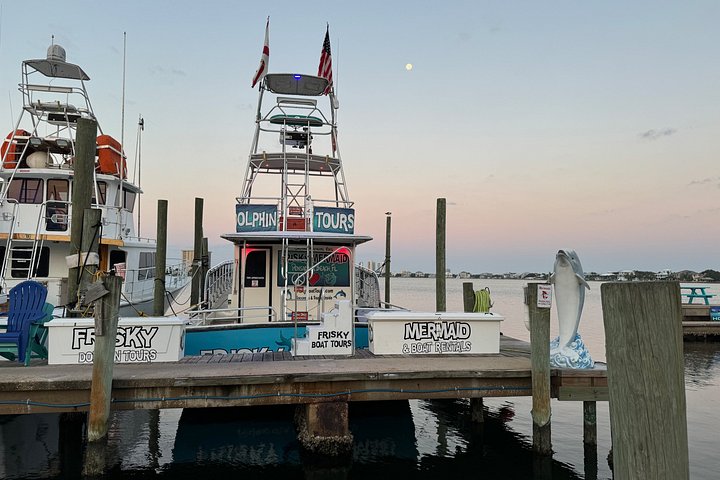 Dolphin watching cruise on the Frisky Mermaid boat in Pensacola Beach, Florida, photo 34 | wizardtrip