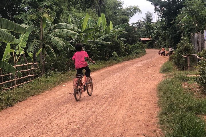 Battambang tuk tuk-tur med bambustog, flaggermusgrotter og landlig kambodsjansk natur, foto 7 | wizardtrip