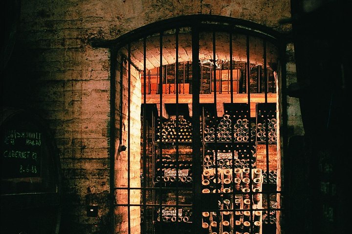 Guidet tur til den historiske Cousiño Macul vingård i Santiago, Chile, med vinsmaking, foto 7 | wizardtrip