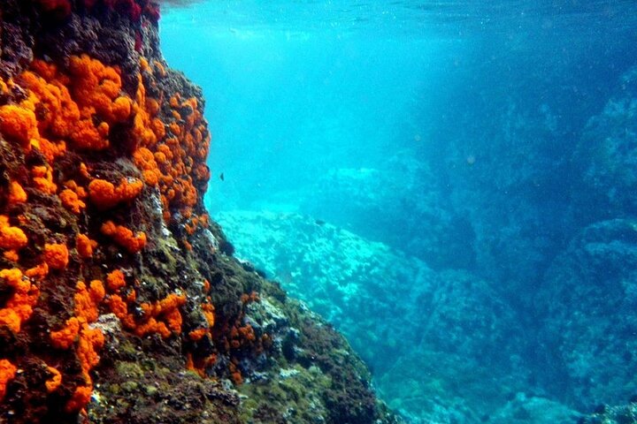 Kajak- og snorkeleventyr i naturparken langs Malagas kyst, Spanien, foto 6 | wizardtrip