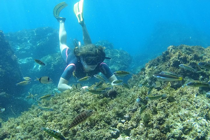 Kajak- og snorkeleventyr i naturparken langs Malagas kyst, Spanien, foto 7 | wizardtrip