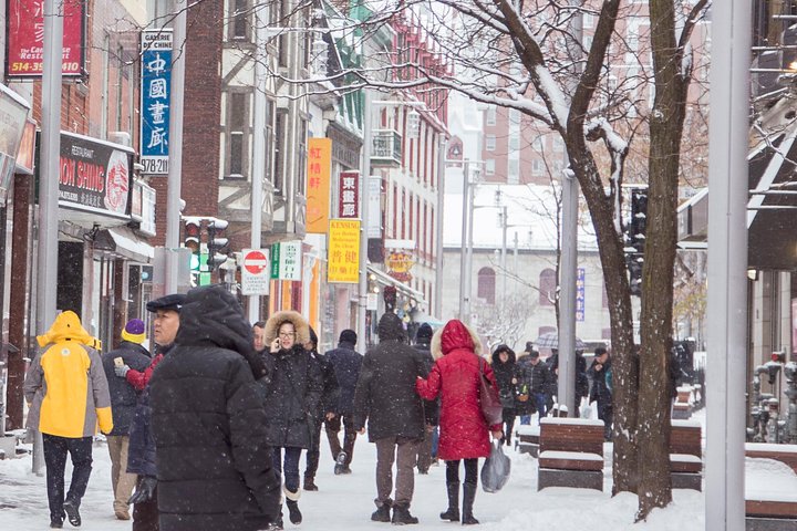 Passeio a pé explorando os locais históricos de Montreal, arte vibrante e cultura local, foto 12 | wizardtrip