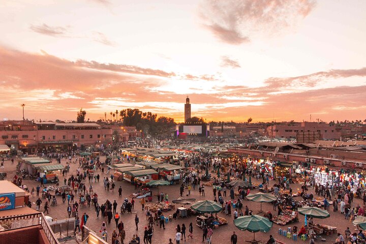 Dagtocht naar Marrakech vanuit Casablanca met kamelenritten, paardenkoetsen en Medina-verkenning, foto 13 | wizardtrip