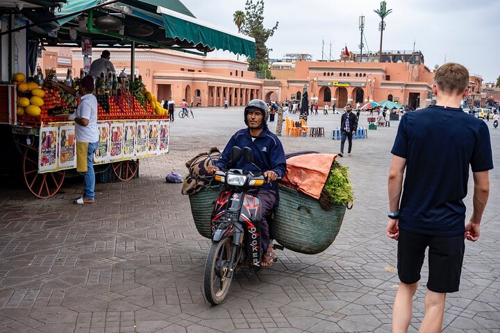 Dagtocht naar Marrakech vanuit Casablanca met kamelenritten, paardenkoetsen en Medina-verkenning, foto 16 | wizardtrip