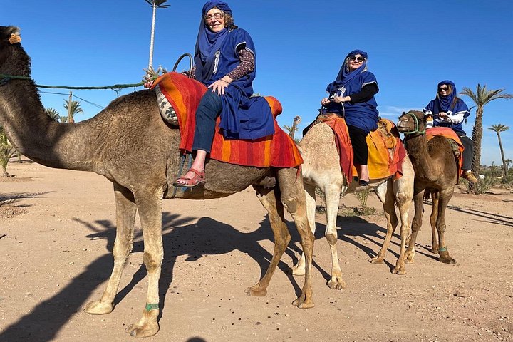 Dagtocht naar Marrakech vanuit Casablanca met kamelenritten, paardenkoetsen en Medina-verkenning, foto 22 | wizardtrip