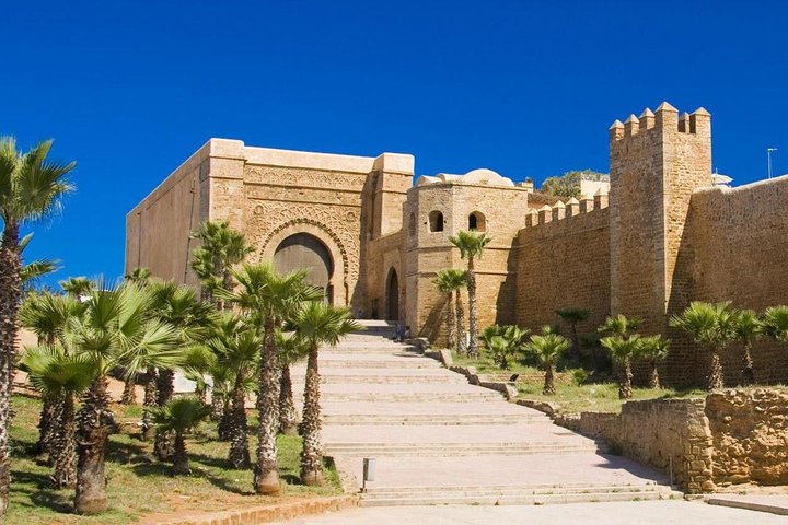 Excursion d'une journée à Rabat depuis Casablanca, avec la Tour Hassan, la Kasbah des Oudaias et les Jardins Andalous, photo 19 | wizardtrip