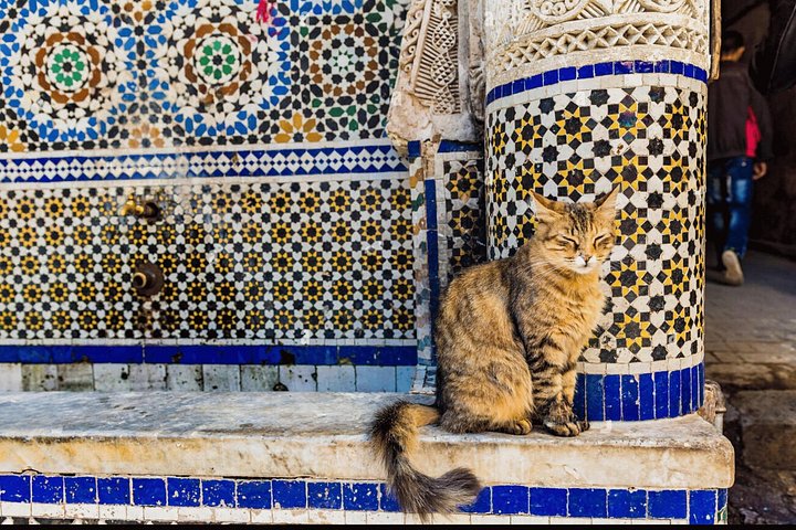 Un tour guiado por Fez desde Casablanca, que muestra su Medina histórica, monumentos y artesanía, foto 7 | wizardtrip