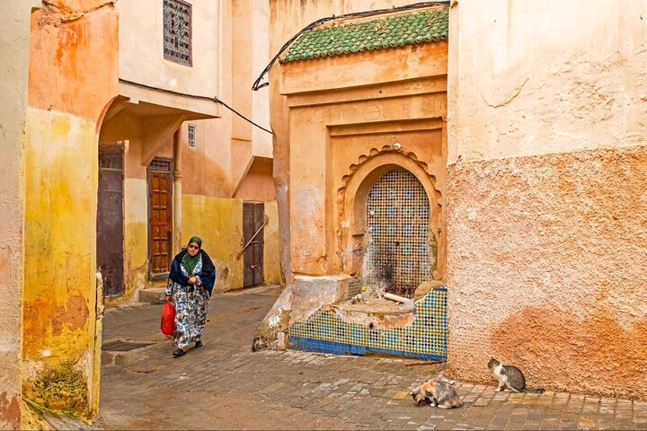 Visite de la ville de Casablanca avec la Mosquée Hassan II, l'ancienne Médina et les marchés animés, photo 13 | wizardtrip