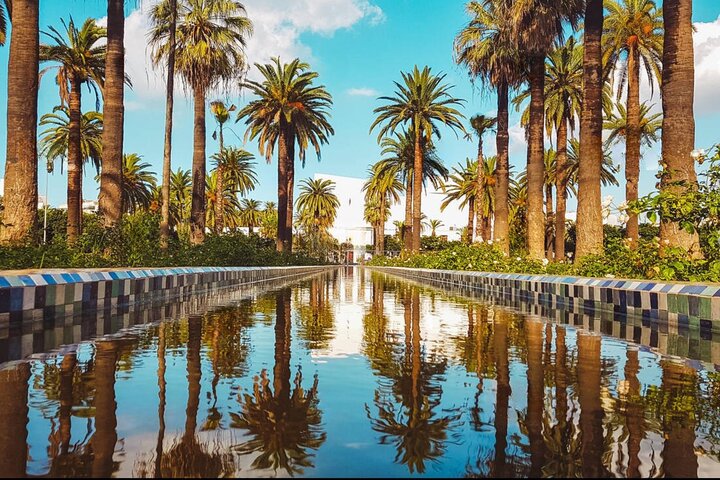 Visite de la ville de Casablanca avec la Mosquée Hassan II, l'ancienne Médina et les marchés animés, photo 16 | wizardtrip