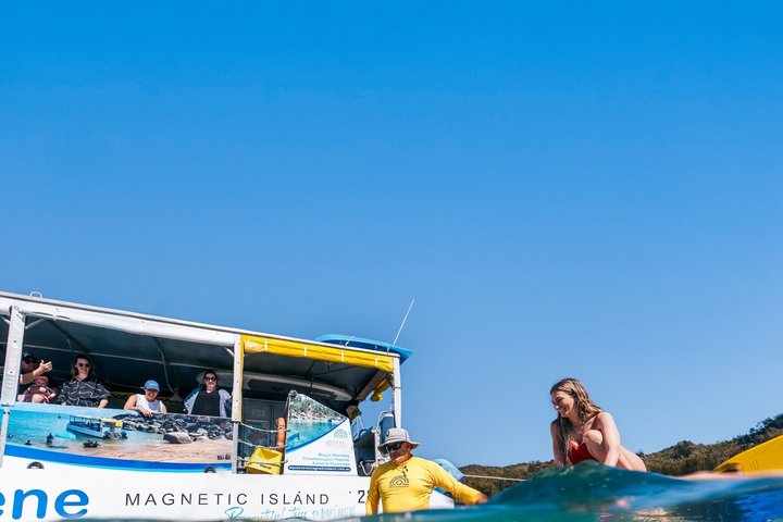 Expérience de snorkeling, paddleboard et rencontres avec la faune lors d'une excursion découverte à Magnetic Island, photo 6 | wizardtrip