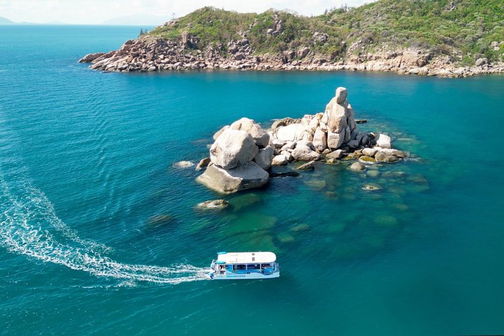 Expérience de snorkeling, paddleboard et rencontres avec la faune lors d'une excursion découverte à Magnetic Island, photo 7 | wizardtrip