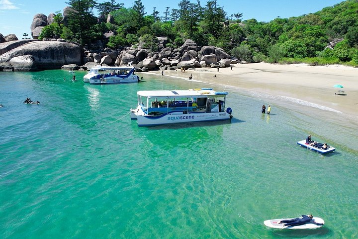Expérience de snorkeling, paddleboard et rencontres avec la faune lors d'une excursion découverte à Magnetic Island, photo 9 | wizardtrip