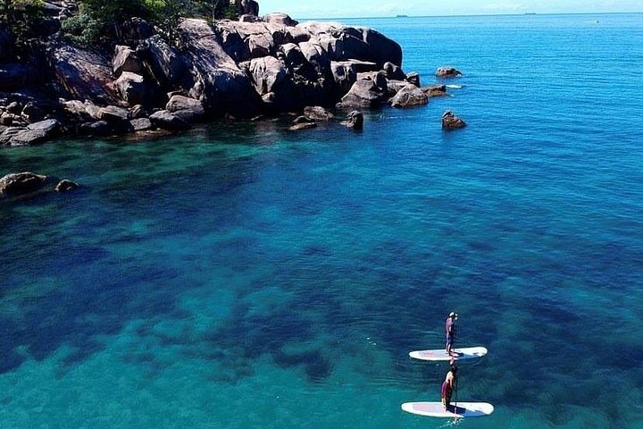 Expérience de snorkeling, paddleboard et rencontres avec la faune lors d'une excursion découverte à Magnetic Island, photo 15 | wizardtrip