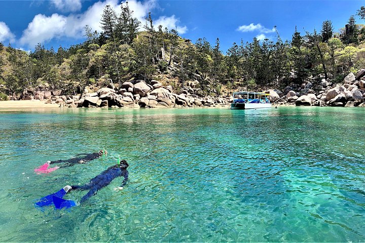 Expérience de snorkeling, paddleboard et rencontres avec la faune lors d'une excursion découverte à Magnetic Island, photo 16 | wizardtrip
