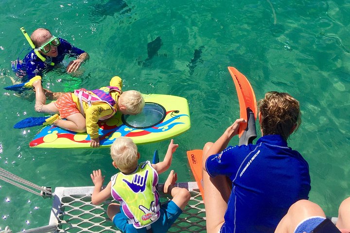 Expérience de snorkeling, paddleboard et rencontres avec la faune lors d'une excursion découverte à Magnetic Island, photo 19 | wizardtrip