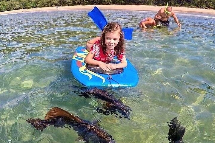 Expérience de snorkeling, paddleboard et rencontres avec la faune lors d'une excursion découverte à Magnetic Island, photo 21 | wizardtrip