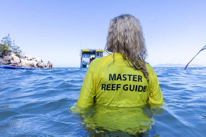Expérience de snorkeling, paddleboard et rencontres avec la faune lors d'une excursion découverte à Magnetic Island, photo 25 | wizardtrip