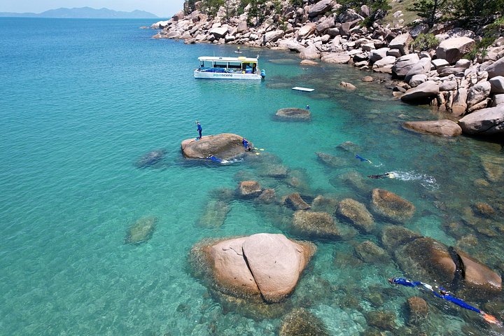 Expérience de snorkeling, paddleboard et rencontres avec la faune lors d'une excursion découverte à Magnetic Island, photo 28 | wizardtrip
