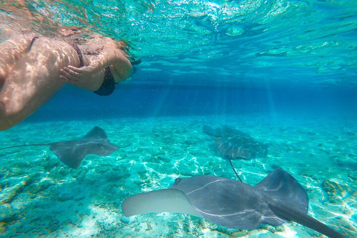 Nationaal park Komodo | wizardtrip