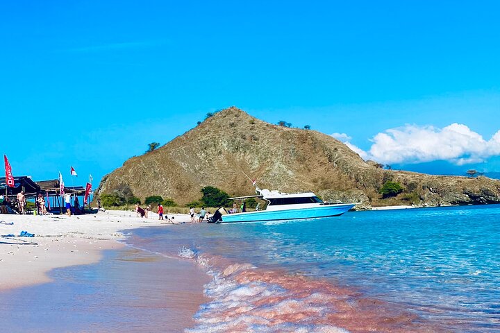 Excursion en bateau rapide explorant le parc national de Komodo, y compris le point de vue de l'île de Padar, les dragons de Komodo et les raies manta, photo 6 | wizardtrip