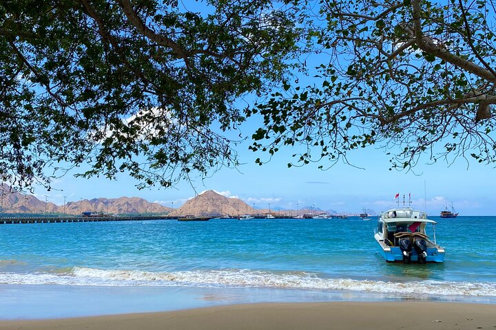 Excursion en bateau rapide explorant le parc national de Komodo, y compris le point de vue de l'île de Padar, les dragons de Komodo et les raies manta, photo 7 | wizardtrip