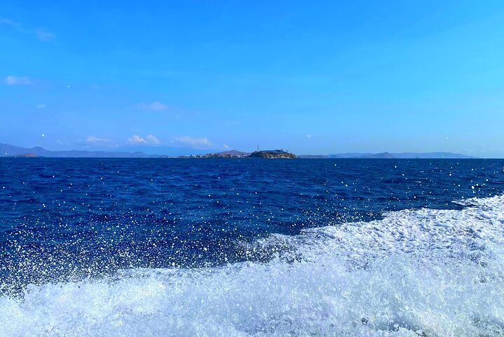 Excursion en bateau rapide explorant le parc national de Komodo, y compris le point de vue de l'île de Padar, les dragons de Komodo et les raies manta, photo 8 | wizardtrip