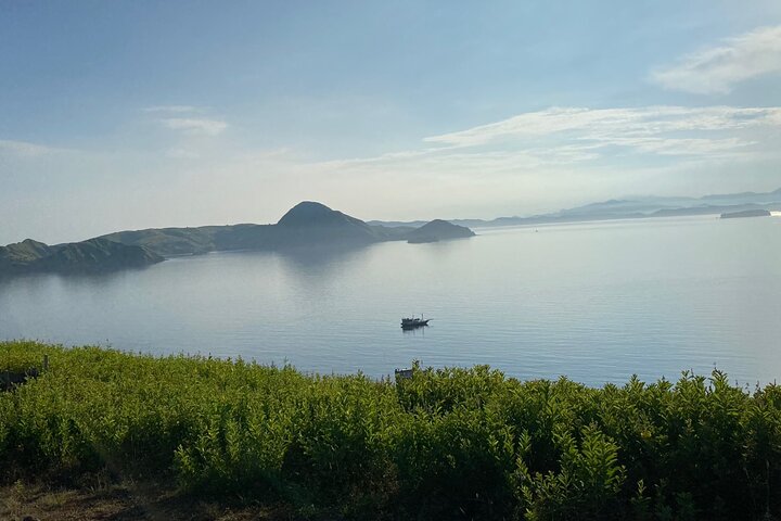 Excursion en bateau rapide explorant le parc national de Komodo, y compris le point de vue de l'île de Padar, les dragons de Komodo et les raies manta, photo 10 | wizardtrip