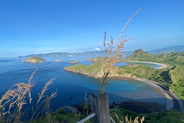 Excursion en bateau rapide explorant le parc national de Komodo, y compris le point de vue de l'île de Padar, les dragons de Komodo et les raies manta, photo 11 | wizardtrip