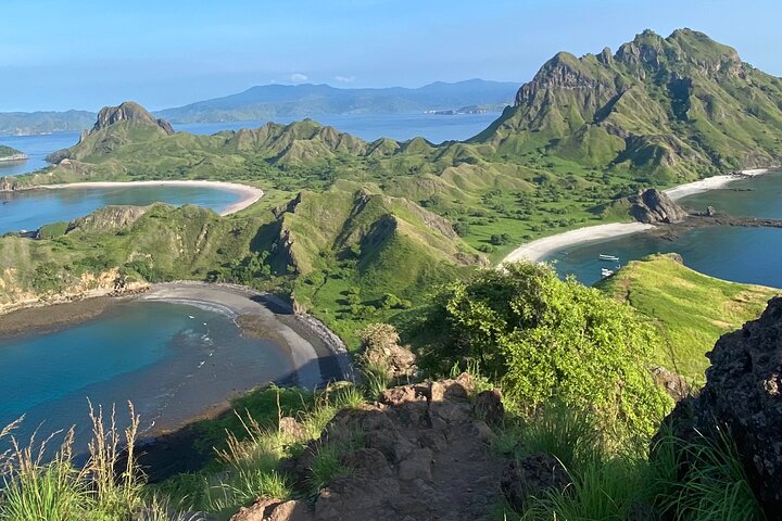 Excursion en bateau rapide explorant le parc national de Komodo, y compris le point de vue de l'île de Padar, les dragons de Komodo et les raies manta, photo 12 | wizardtrip