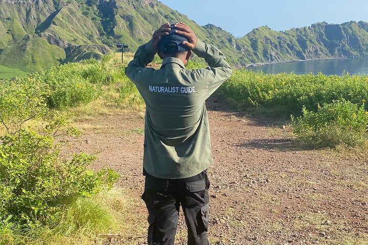 Excursion en bateau rapide explorant le parc national de Komodo, y compris le point de vue de l'île de Padar, les dragons de Komodo et les raies manta, photo 13 | wizardtrip