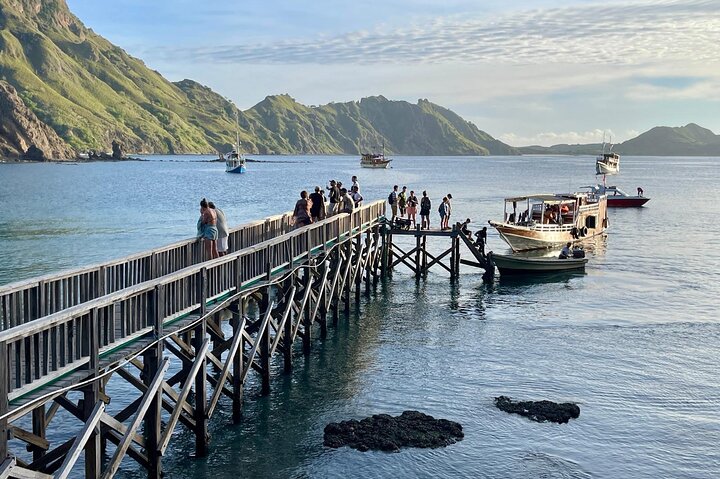 Excursion en bateau rapide explorant le parc national de Komodo, y compris le point de vue de l'île de Padar, les dragons de Komodo et les raies manta, photo 18 | wizardtrip