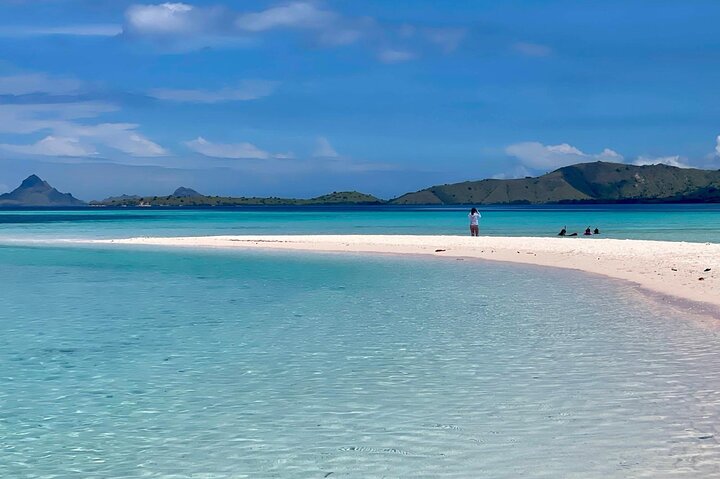 Excursion en bateau rapide explorant le parc national de Komodo, y compris le point de vue de l'île de Padar, les dragons de Komodo et les raies manta, photo 25 | wizardtrip