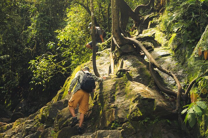Escursione attraverso lussureggianti foreste nebulari e scoperta di cascate nascoste vicino a Medellín, Colombia, foto 7 | wizardtrip