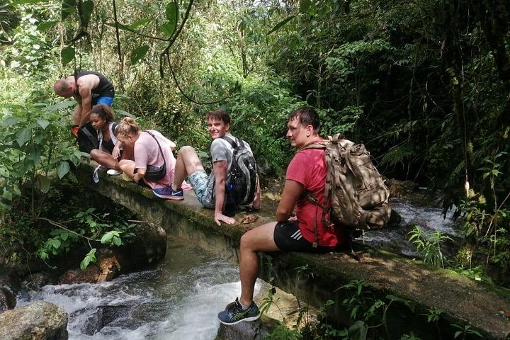 Escursione attraverso lussureggianti foreste nebulari e scoperta di cascate nascoste vicino a Medellín, Colombia, foto 9 | wizardtrip