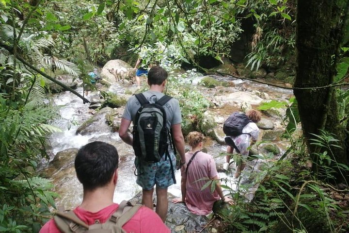 Escursione attraverso lussureggianti foreste nebulari e scoperta di cascate nascoste vicino a Medellín, Colombia, foto 14 | wizardtrip