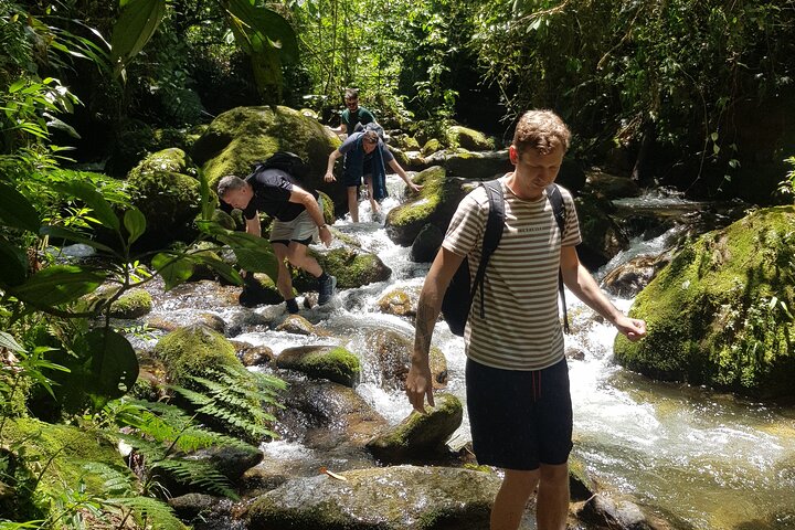 Escursione attraverso lussureggianti foreste nebulari e scoperta di cascate nascoste vicino a Medellín, Colombia, foto 17 | wizardtrip
