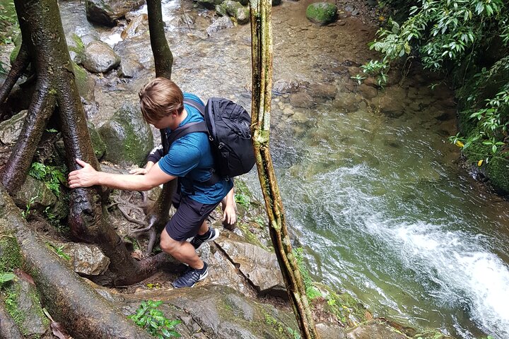 Escursione attraverso lussureggianti foreste nebulari e scoperta di cascate nascoste vicino a Medellín, Colombia, foto 19 | wizardtrip