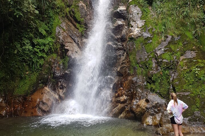 Escursione attraverso lussureggianti foreste nebulari e scoperta di cascate nascoste vicino a Medellín, Colombia, foto 20 | wizardtrip