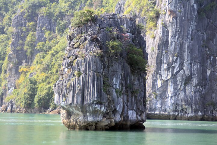 Luxurious 5-star cruise navigating through the stunning limestone karsts of Halong Bay, Vietnam, photo 27 | wizardtrip