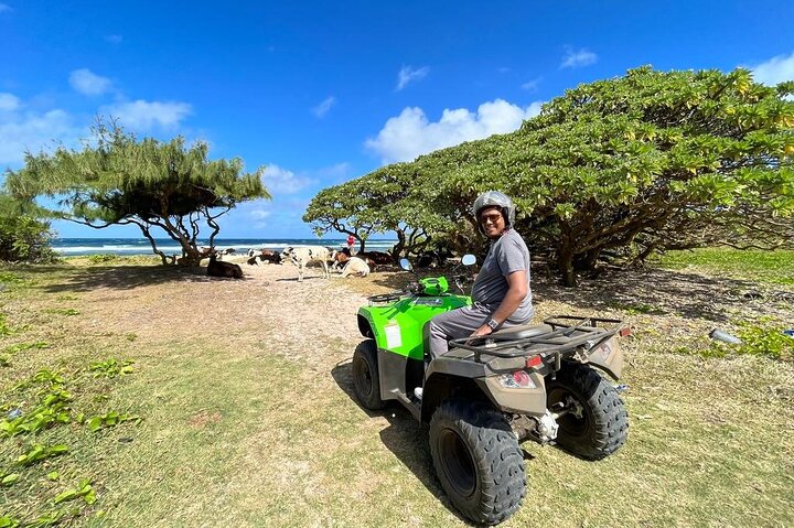 Quad-Tour durch die malerische Landschaft Süd-Mauritius, einschließlich Stränden und Naturwundern, Foto 5 | wizardtrip