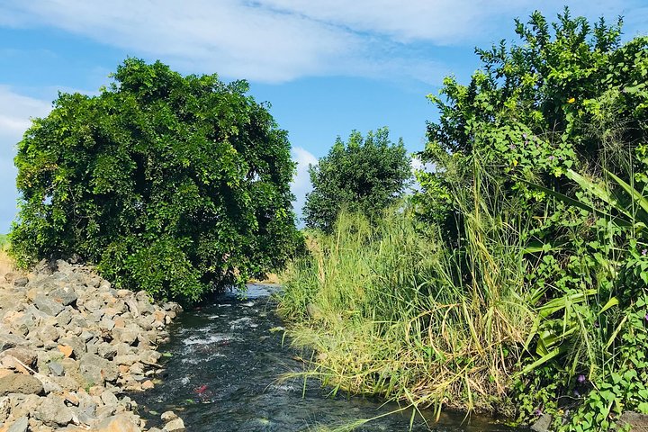 Quad-Tour durch die malerische Landschaft Süd-Mauritius, einschließlich Stränden und Naturwundern, Foto 7 | wizardtrip
