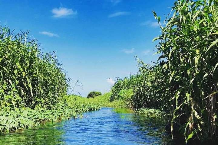 Quad-Tour durch die malerische Landschaft Süd-Mauritius, einschließlich Stränden und Naturwundern, Foto 12 | wizardtrip