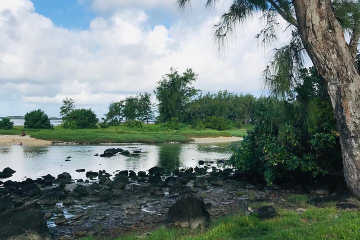 Quad-Tour durch die malerische Landschaft Süd-Mauritius, einschließlich Stränden und Naturwundern, Foto 16 | wizardtrip