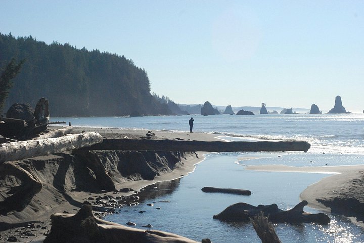 Passeio em grupo pequeno explorando o Parque Nacional Olympic saindo de Seattle, com ferries, montanhas e lagos, foto 14 | wizardtrip