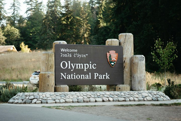 Passeio em grupo pequeno explorando o Parque Nacional Olympic saindo de Seattle, com ferries, montanhas e lagos, foto 16 | wizardtrip