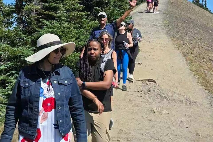 Passeio em grupo pequeno explorando o Parque Nacional Olympic saindo de Seattle, com ferries, montanhas e lagos, foto 18 | wizardtrip