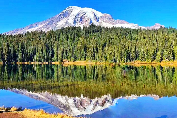 Tur med små grupper som utforsker de naturlige underverkene i Mt. Rainier National Park fra Seattle, foto 6 | wizardtrip