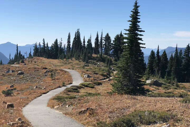 Tur med små grupper som utforsker de naturlige underverkene i Mt. Rainier National Park fra Seattle, foto 8 | wizardtrip