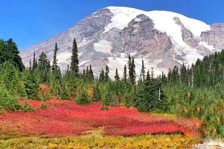 Tur med små grupper som utforsker de naturlige underverkene i Mt. Rainier National Park fra Seattle, foto 9 | wizardtrip