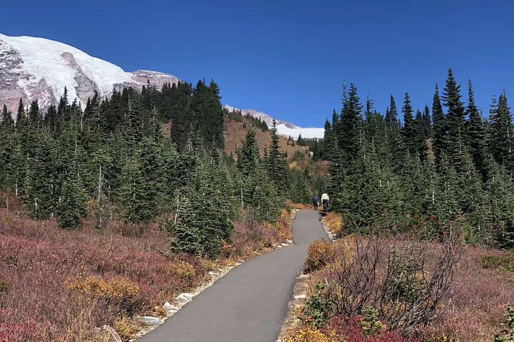 Tur med små grupper som utforsker de naturlige underverkene i Mt. Rainier National Park fra Seattle, foto 10 | wizardtrip